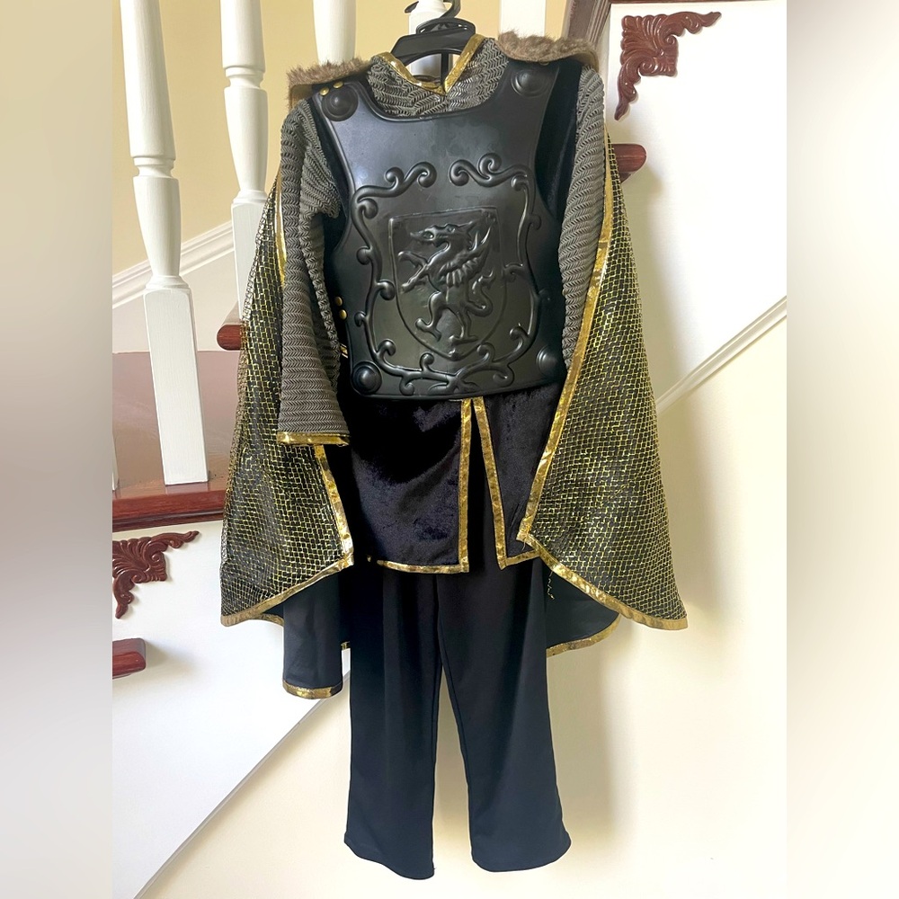 Pottery barn kids King Costume.